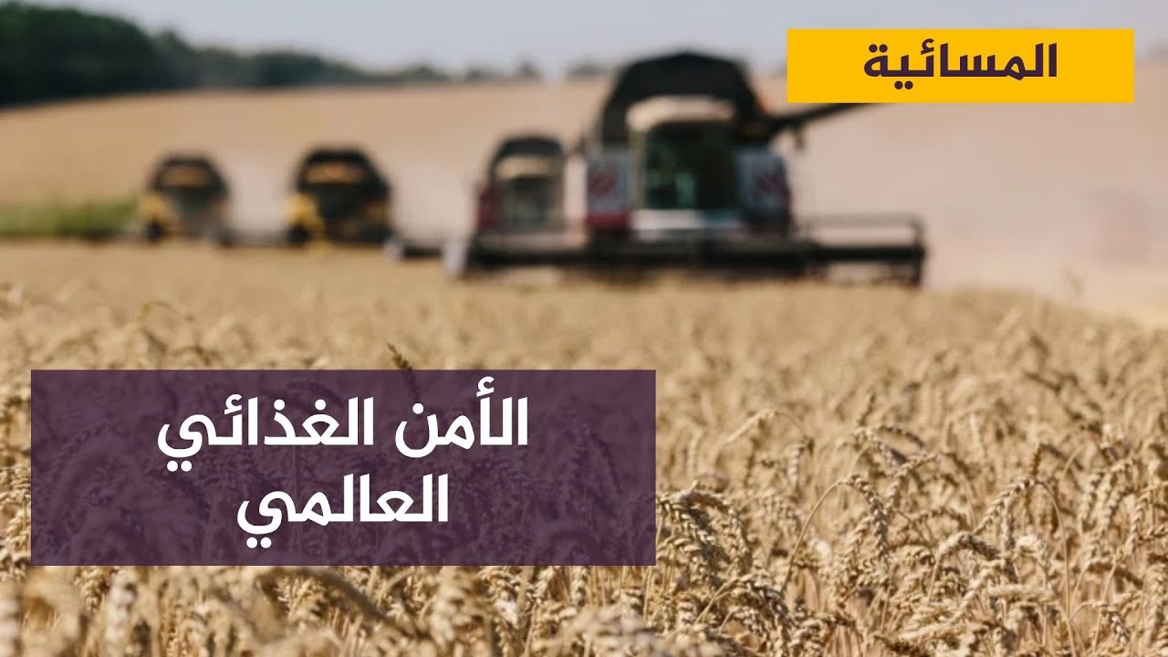 الرئيس الأوكراني يؤكد استعدادات بلاده لشحن الحبوب وانتظار إشارة البدء