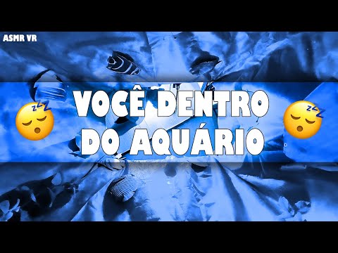 Asmr TÃO BOM que não sobra ninguém acordado | VR LIMPANDO AQUÁRIO ❗