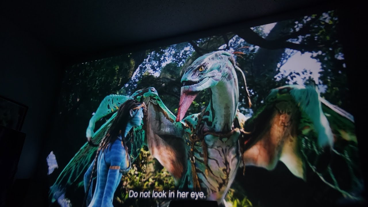 This is CRAZY !  $250 Bomaker Parrot 1 Projector Delivers Premium