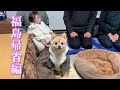 【福島帰省編】ポメくんと孫が福島に帰ってきてくれました！【ポメくん劇場開幕】