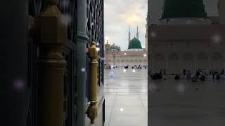 Madina ✨💚 #allah#madina#umrah#trending#islam#shorts#islamicshorts#viral#shortvideo#youtubeshorts