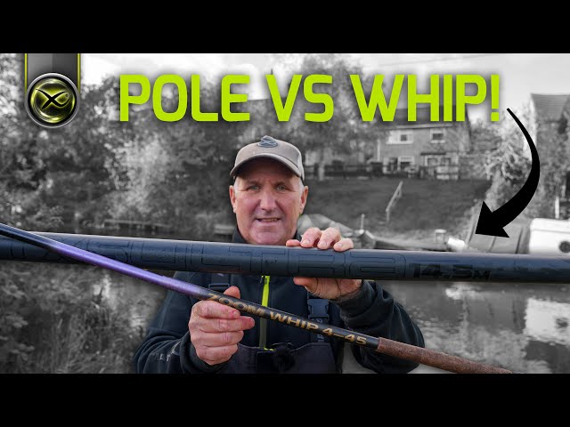 POLE vs WHIP! Which will win? 