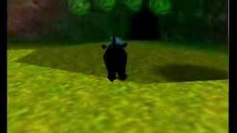 Donkey Kong 64 Glitch-Fest!