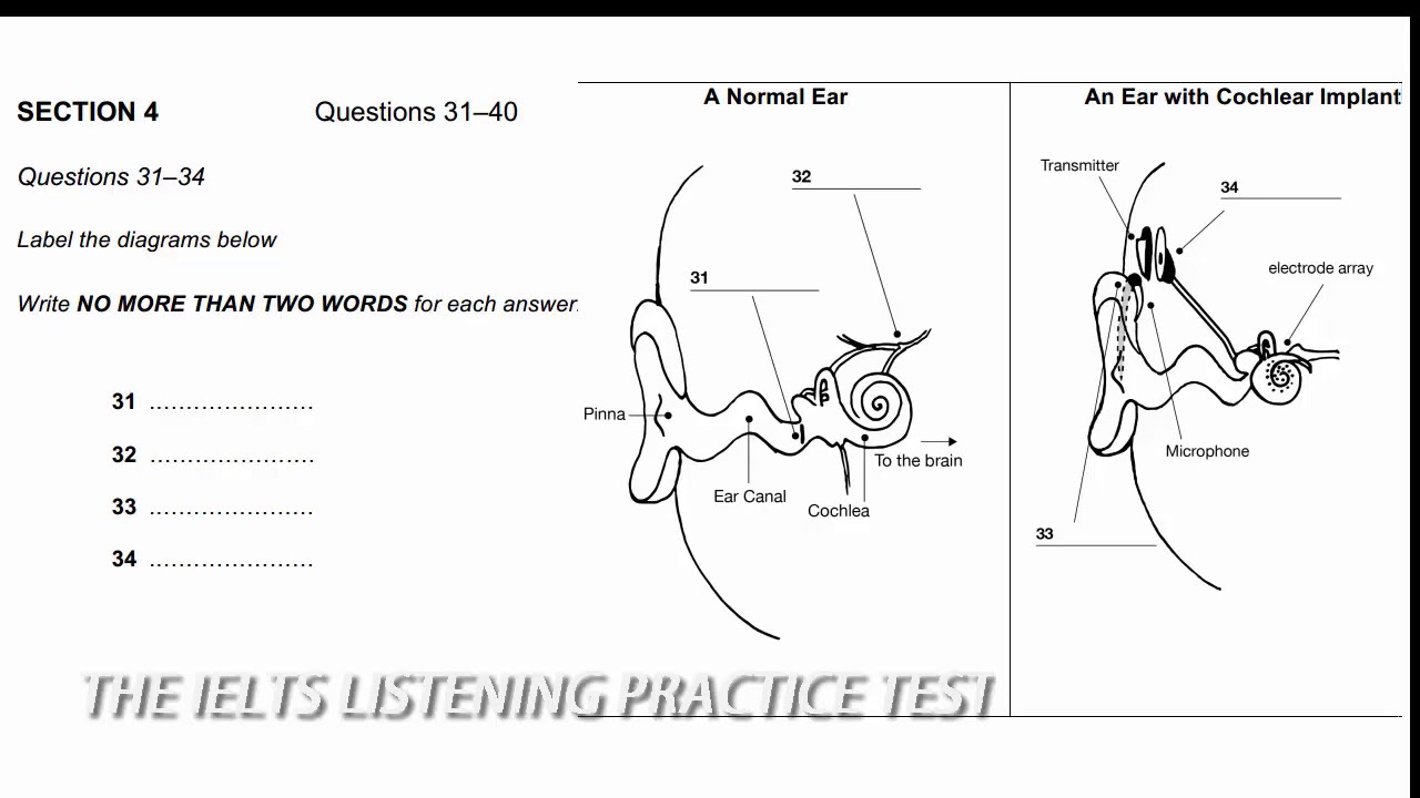 Road To IELTS Listening Test 5 Section 4 British Council With road-to-ielts-listening-test-5-section-4-british-council-with