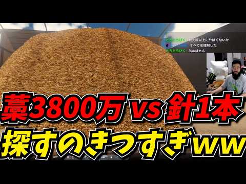 藁38,000,000本から針数本を探すゲームが面白すぎたｗｗ【Find The Needl】