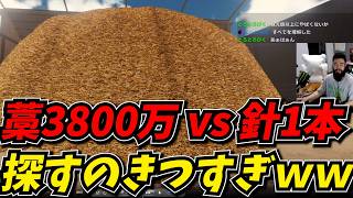 藁38,000,000本から針数本を探すゲームが面白すぎたｗｗ【Find The Needl】