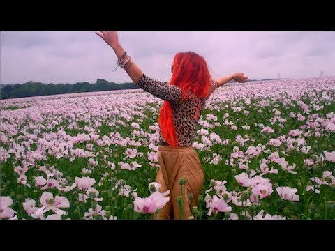 Neon Hitch - Pink Fields