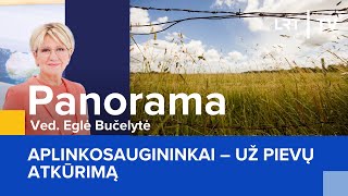 Panorama | 2024-01-27