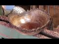 #129 Woodturning an Endgrain Walnut Bowl