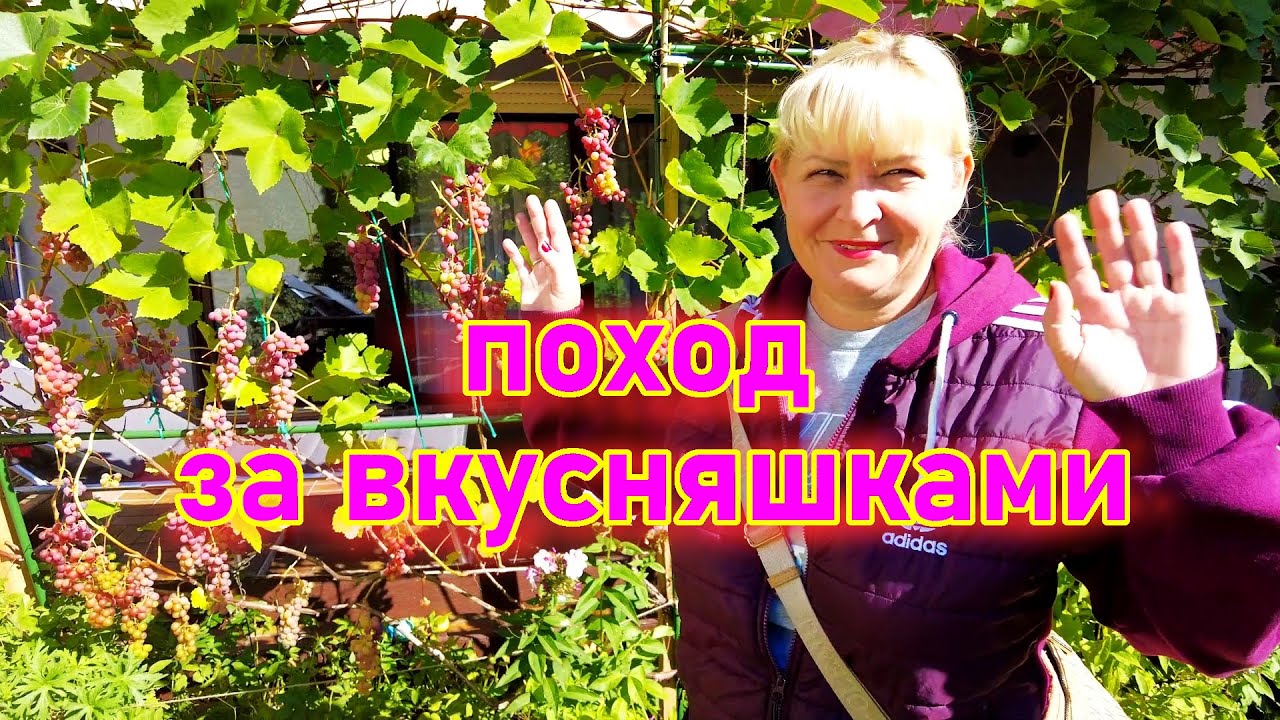 Рынок в Германии.  Русский магазин - Цены.  Наша жизнь в Германии.