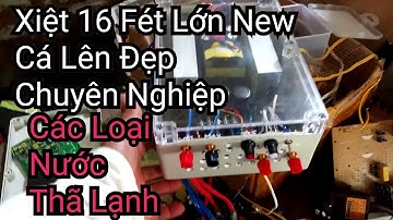 Kích Cá 16 Fét Lớn New Tất Cả Các Loại Nước No Nước Mặn Cá Lên Đẹp|Điện Tử Nguyễn Sự|