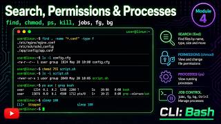 Curso CLI: Bash - Búsqueda, permisos y procesos