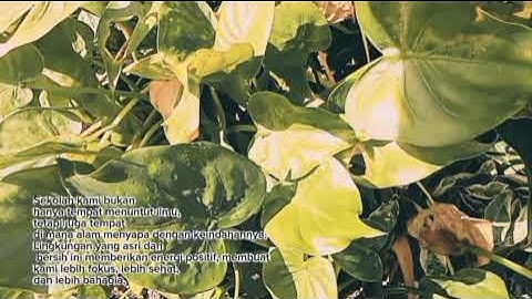 TUGAS KODING PEMBUATAN VLOG 