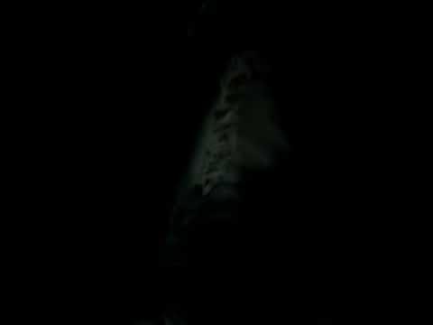 T.P.M. - YouTube