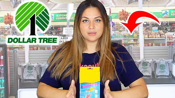 DOLLAR TREE will Save YOU Money with these 8 Produ...