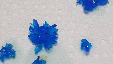 Growing CuSO4 Crystals!