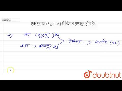 वीडियो: मानव युग्मनज में कितने गुणसूत्र होते हैं?