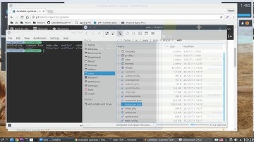 Update Drupal 8 with Composer
