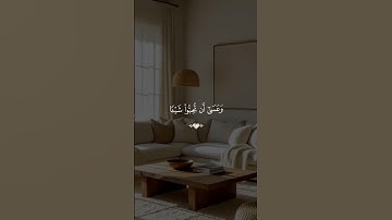 وعسى أن تكرهوا شيئا وهو خير | الآية 216 من سورة البقرة 😴🎧
