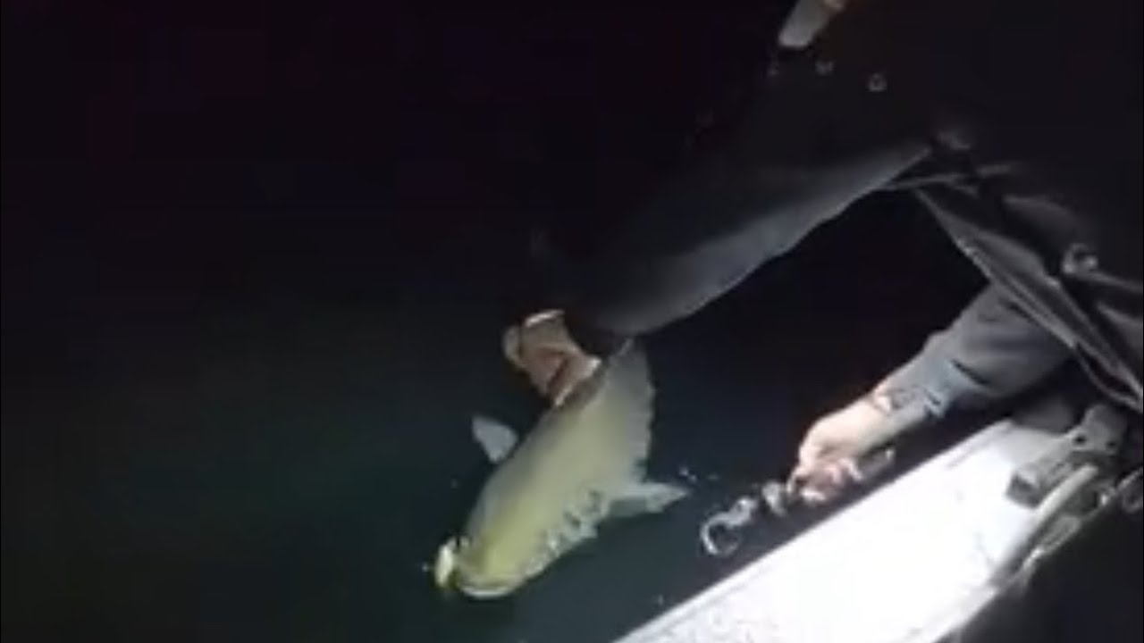 Rough Language Meaning In English Rough Language Meaning In English