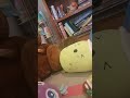 Mr. Pickles