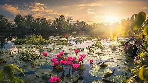 ما تيسر من القرأن الكريم سورة السجدة رائعة بصوت القارئ عبدالرحمن مسعد