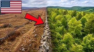 New England Abandoned 12 Million Acres of Farmland — What Grew Back Transformed Everything