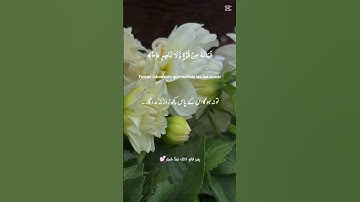 سورة الطارق #المصحف #اكسبلور #quran #القزابري #اكسبلور #explore
