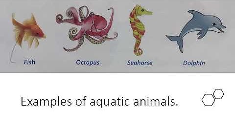 Class 2, Environmental Studies, Chapter 11 Part 2 by Deepa Singh