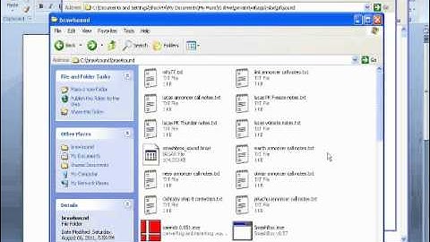 Brawl Hack Tutorial [6] {PART 2}: Code manager and Sound Effect Replacement