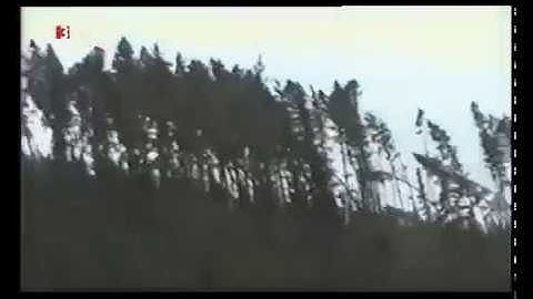 Der Orkan Lothar - Dezember 1999
