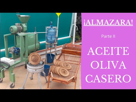 Aceite de oliva casero con maquinaria de creación propia (LA PRENSA) 