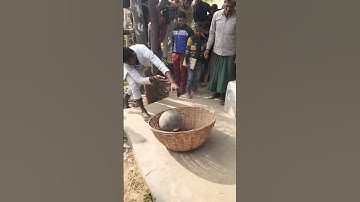 ajgar in tardih। ।तारडीह में अजगर। ।math ka latka jhatka by Rajesh Kumar nirala