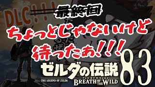 【はじめてのゼルダの伝説】＃83　図鑑の終わりが見えてきた！！！【BotW】