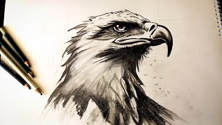 ✏️How to Draw a Eagle || step by step ||Animals Drawing Tutorail