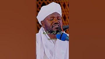 سورة الحج الشيخ نورين محمد صديق #سورة #الحج #قرآن #reels #viral #foryou #الشيخ #quran #food #القرآن