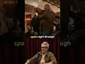 Brock Lesnar Broke Weeman Through a Table | Joe Rogan Reacts