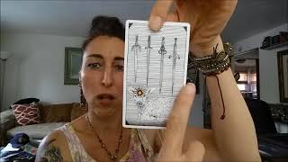 Why Use The Rider Waite Smith Tarot As A Beginner?