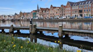 Spring in Haarlem Netherlands