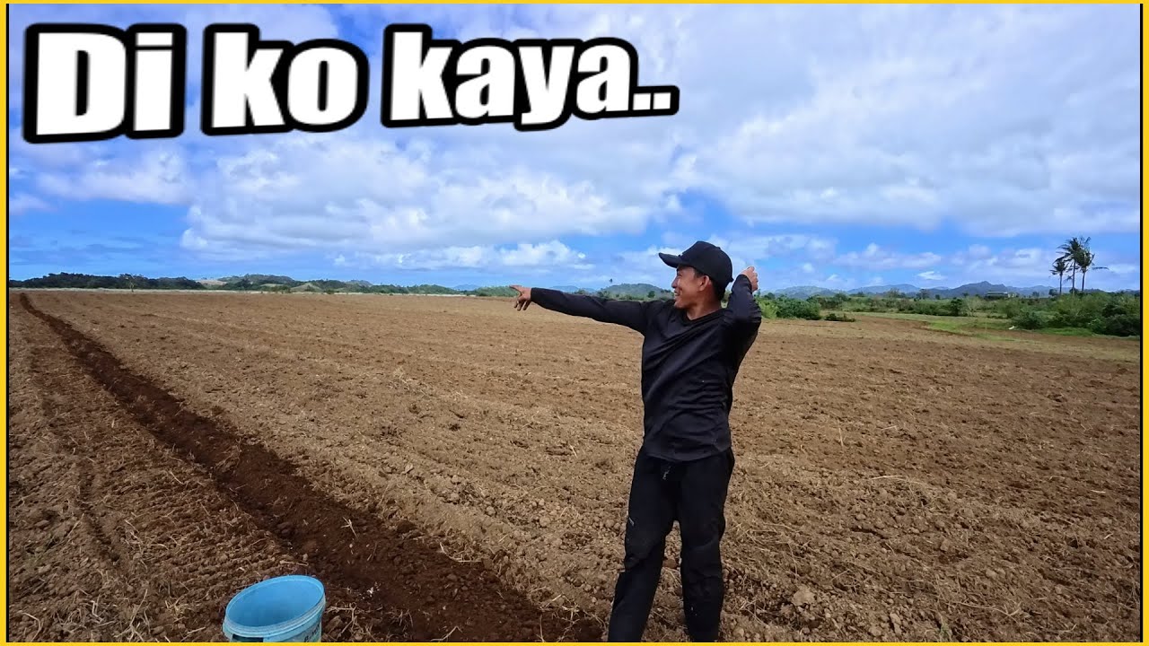 HIHIMATAYIN AKO SA LAWAK