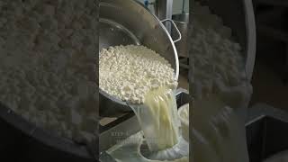 How cheese is made properly in a cheese factory, the complete process#shorts #food #viral #cheese