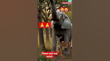 THE 🐘 SAVED THE DEER FROM A HUNTER#SHORT#VIRAL#SHORTS#