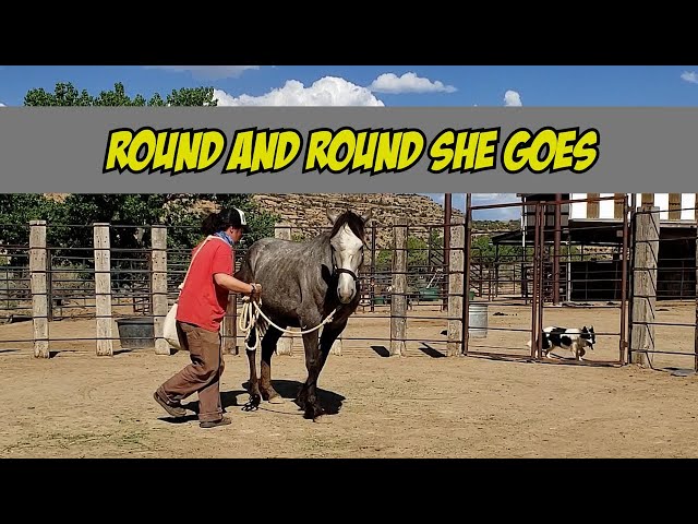 Task 20 Yielding the Hindquarters | The Belle Parker Series