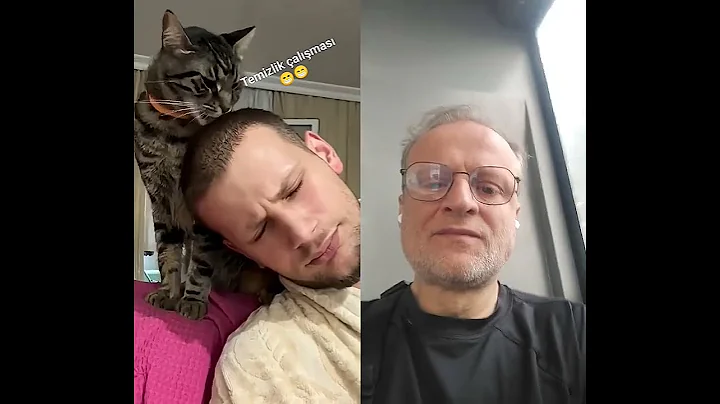 Video 10796761: cat kitten funnycats animal, cat kitten cute funnycats, cats funny kittens animals