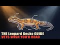Leopard Gecko Tank Setup: 40 Gallon Guide