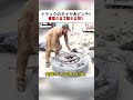 トラックのタイヤ大ピンチ! 修理の全工程を公開! #トラック修理 #タイヤ交換 #職人技 #リサイクルタイヤ #車メンテナンス