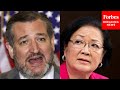 Mazie Hirono Accuses Ted Cruz Of 'Mansplaining' During Chaotic Senate Judiciary Hearing Exchange