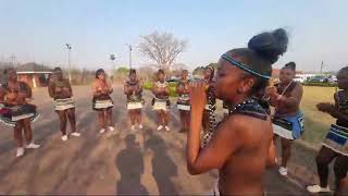 Eswatini Ndebele visit reed dance