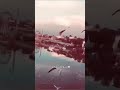 البشر ما يعلى بالمال بخلاقه يتعلى حالات واتساب حزينه روعه