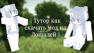 || КАК СКАЧАТЬ||  Мод На Лошадей ||EquestrianfFantasy || screenshot 1